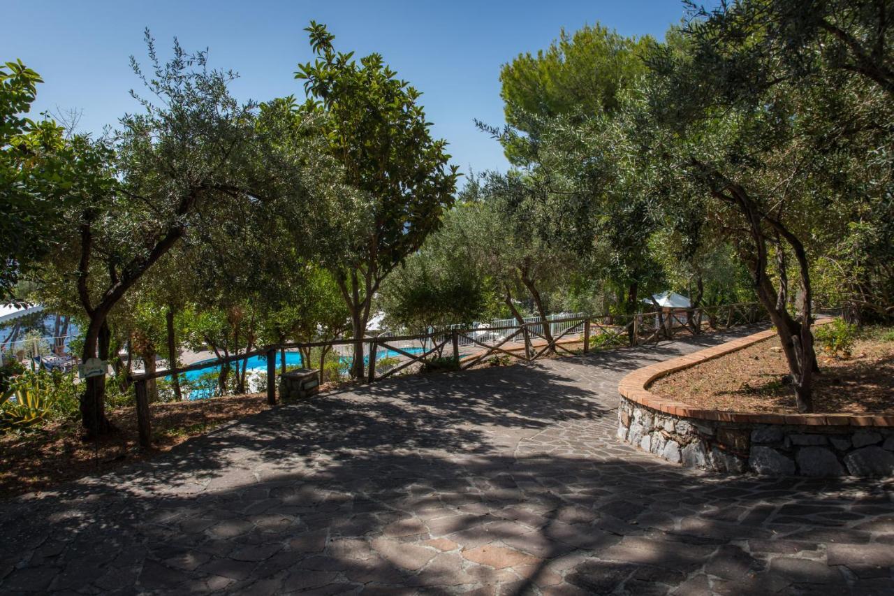 Hotel Villa Delle Meraviglie Maratea Kültér fotó