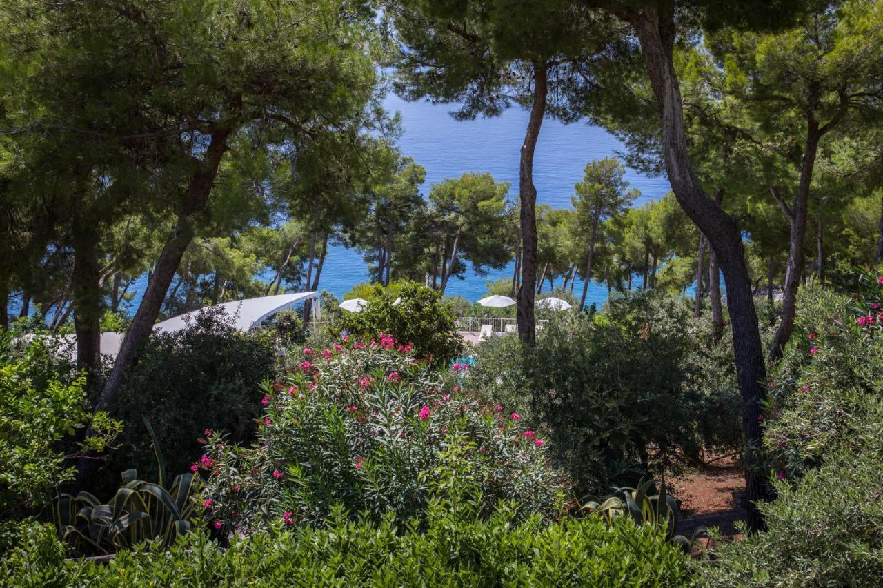 Hotel Villa Delle Meraviglie Maratea Kültér fotó
